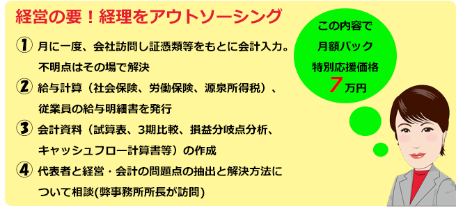経理安心おまかせパックの概要